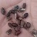脱绒棉籽现货400吨油脂含量高