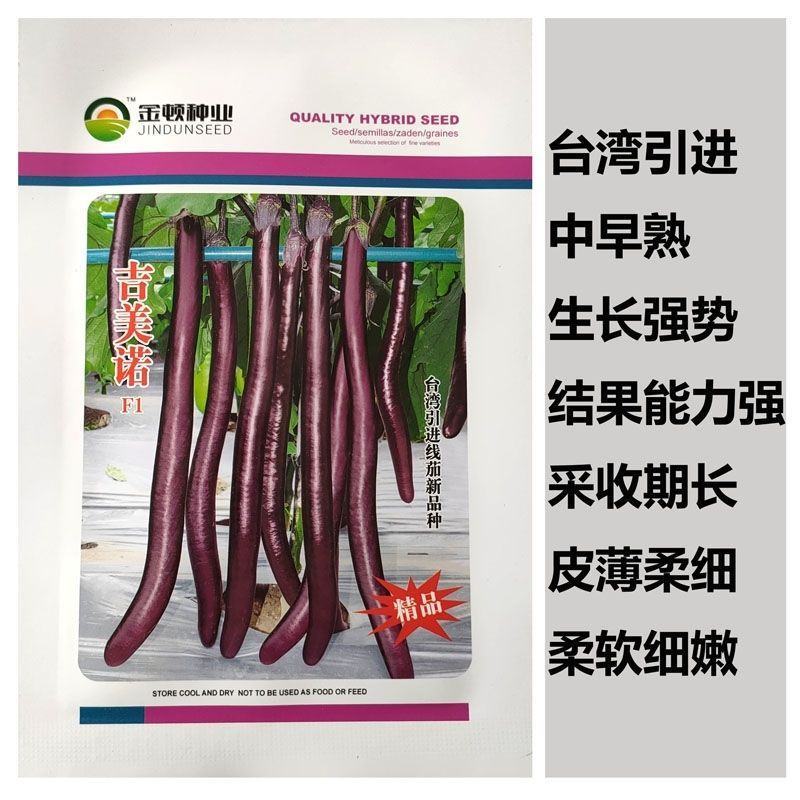 吉美诺线茄长茄种子果型细长线茄种子蔬菜种籽春季秋冬茄子种