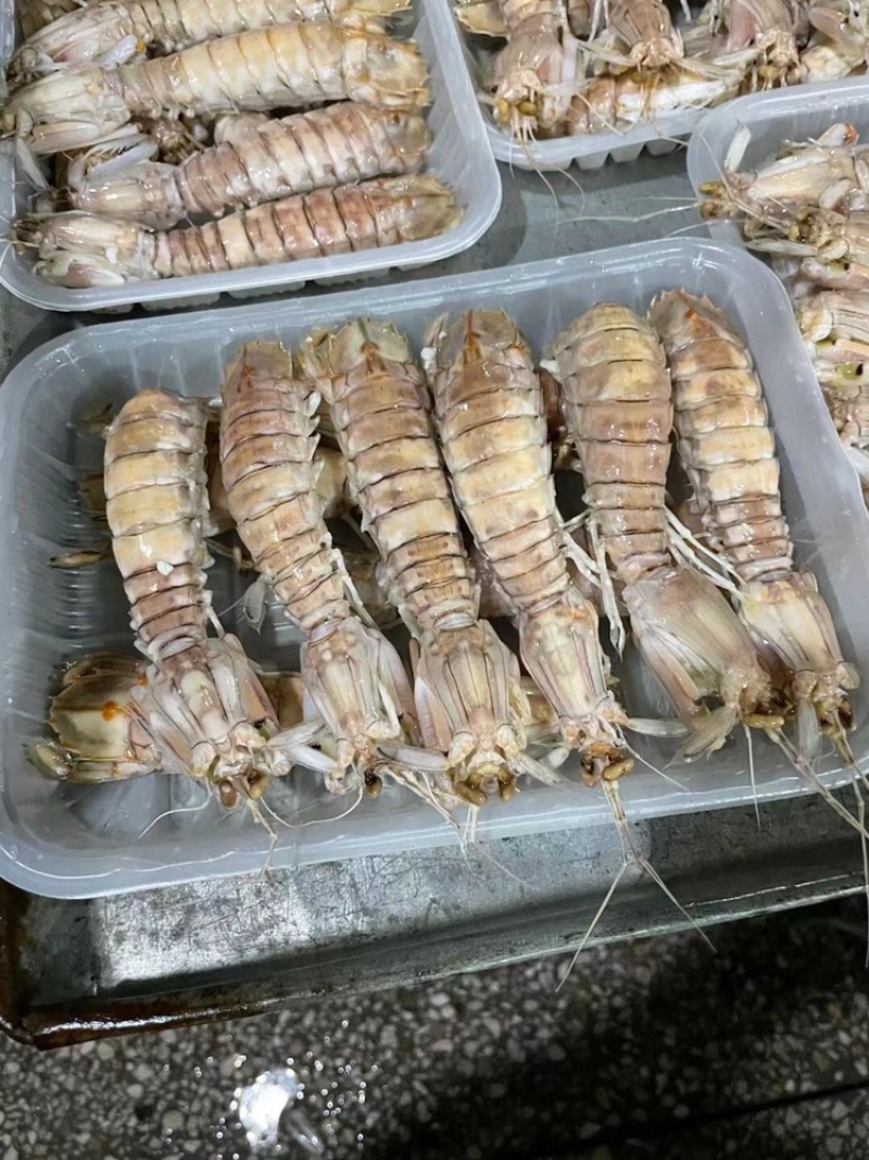 北海熟冻皮皮虾虾爬子濑尿虾一手货源量大价优