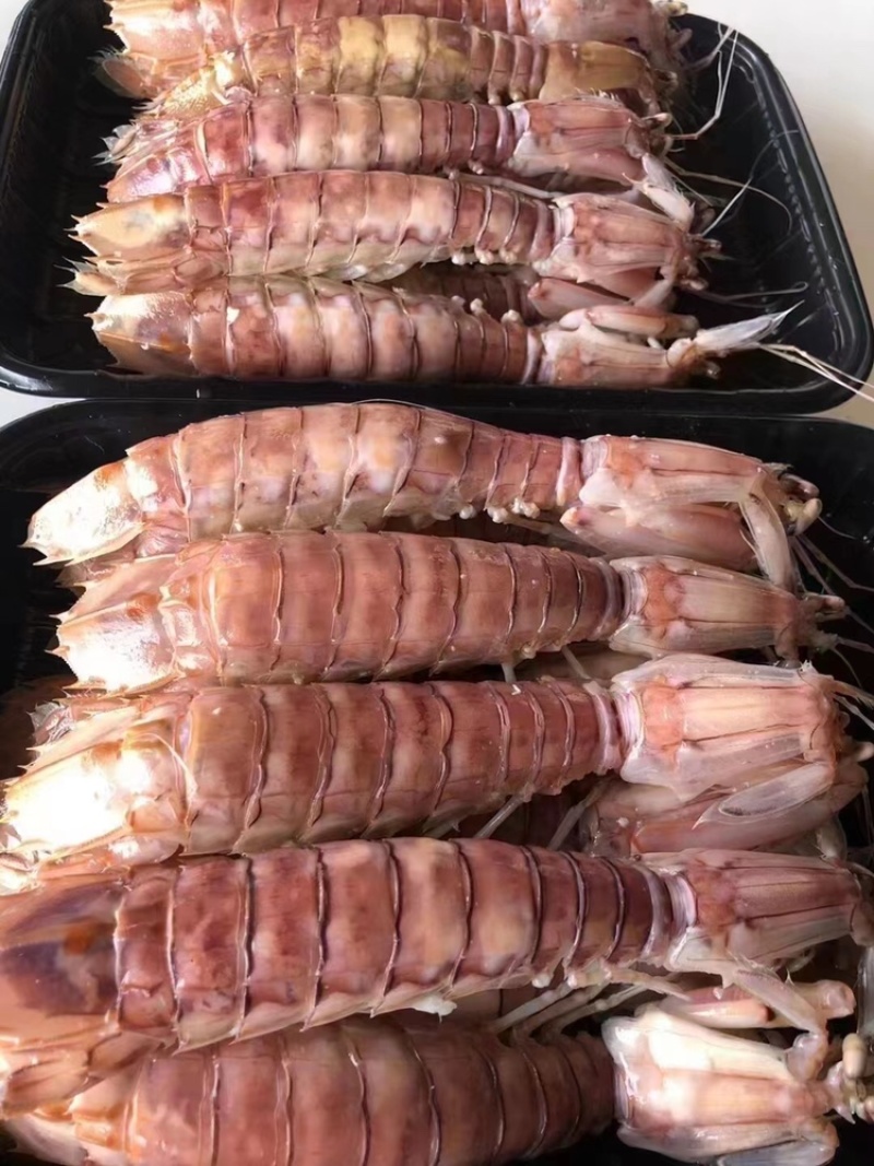 北海熟冻皮皮虾虾爬子濑尿虾一手货源量大价优