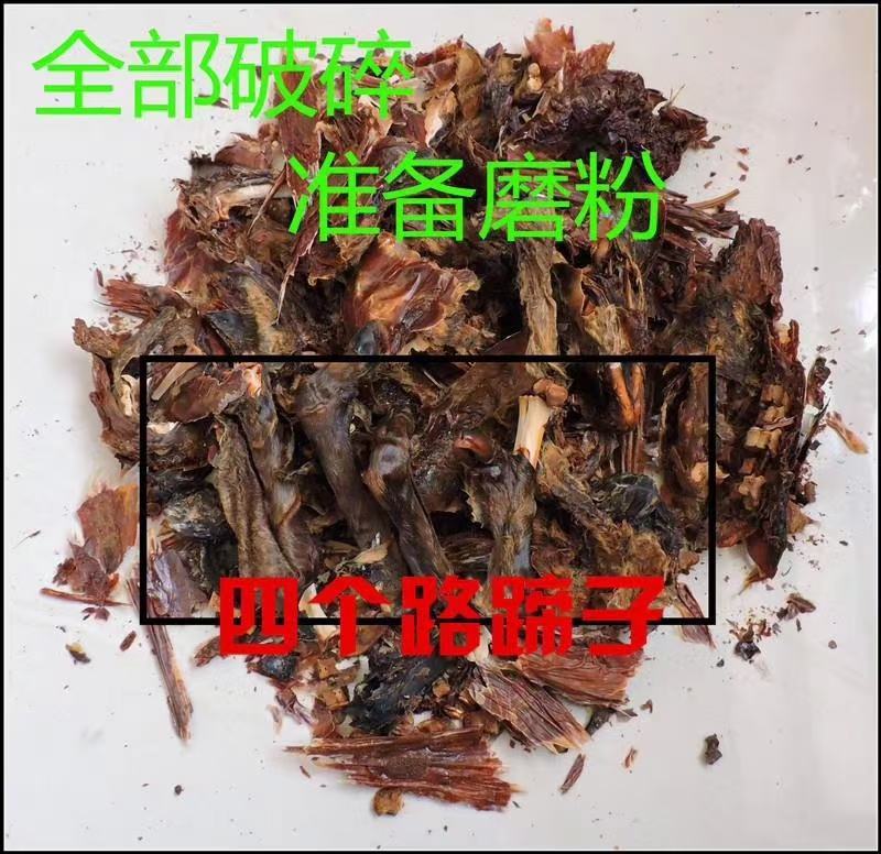 吉林双阳干鹿胎鹿场售卖免费打粉！量大从优