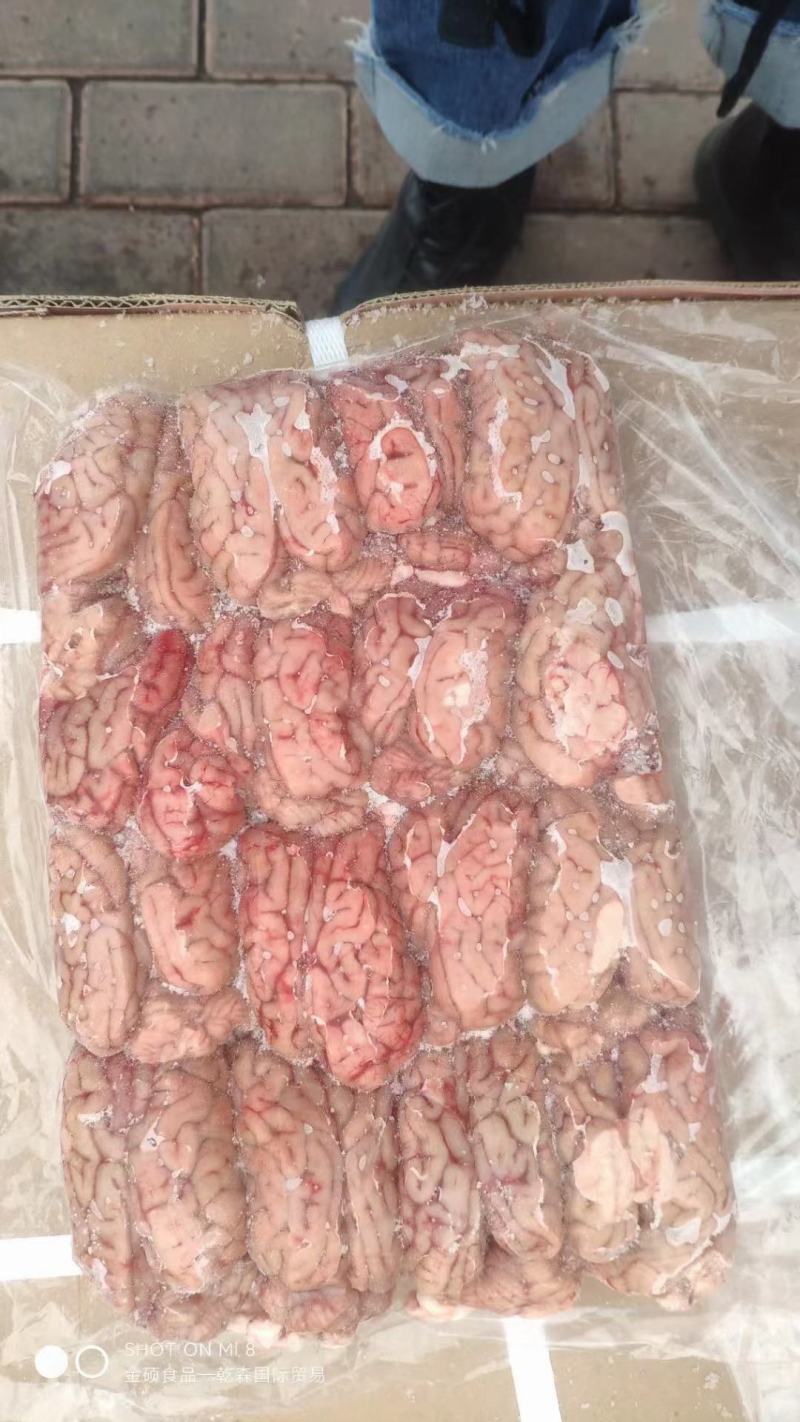 国产猪脑规格:10kg一件，两件起发货，货源充足，屠宰场