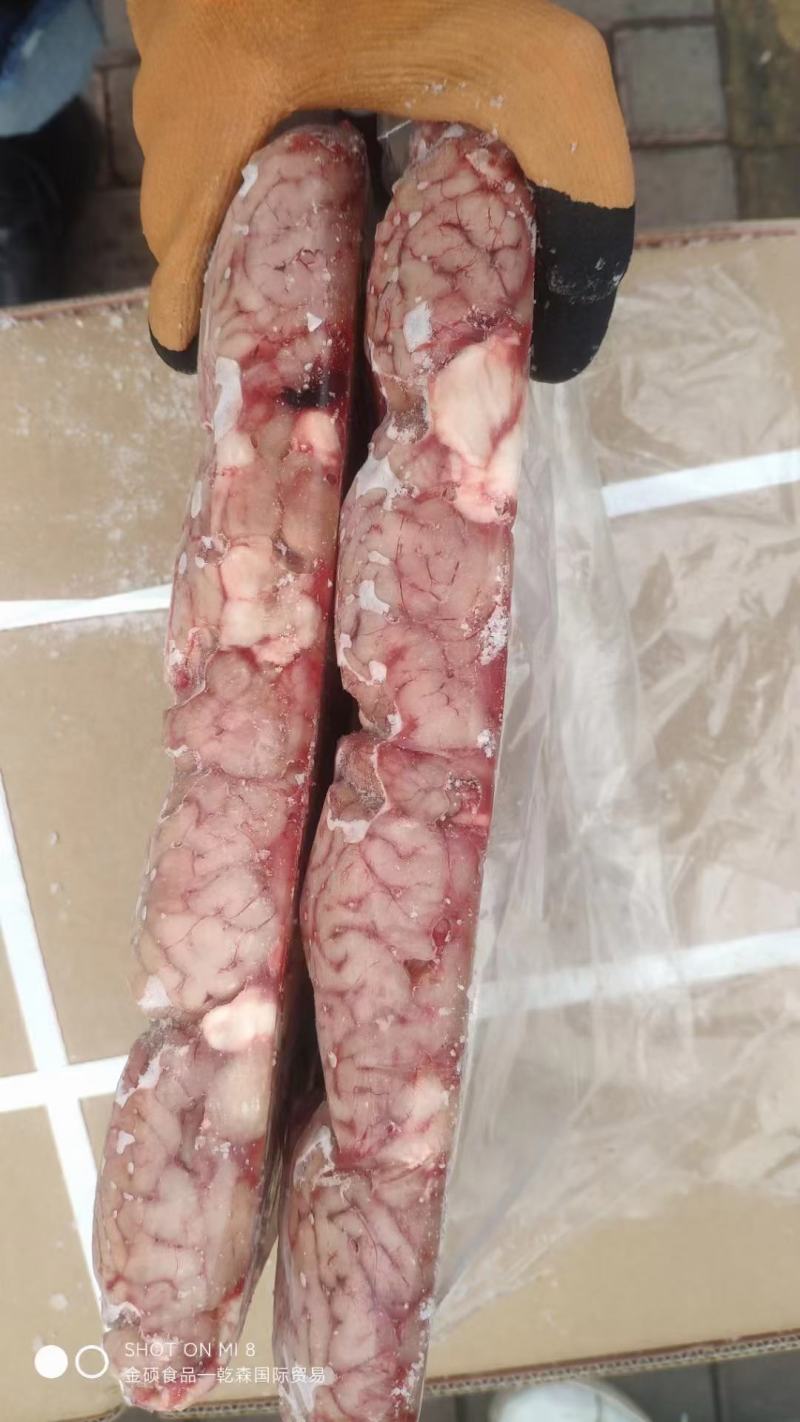 国产猪脑规格:10kg一件，两件起发货，货源充足，屠宰场