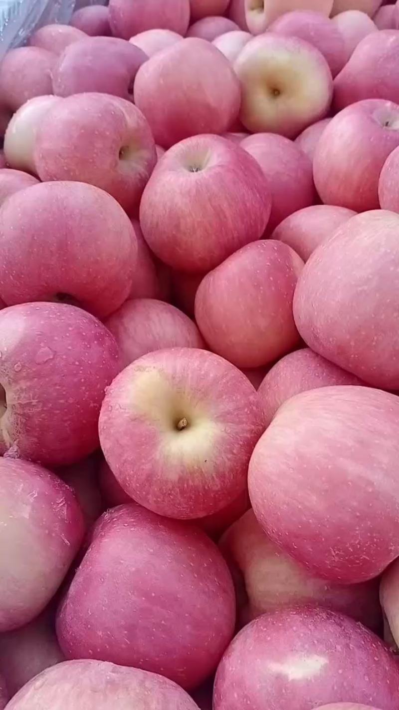 红富士苹果，苹果中的爱马仕，糖度高，表光好