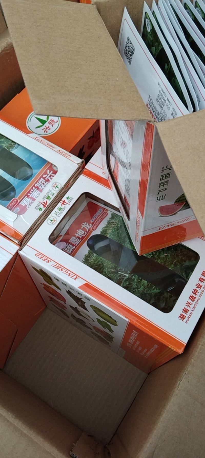 兴蔬墨地龙冬瓜种子，兴蔬黑鲨种子量大从优