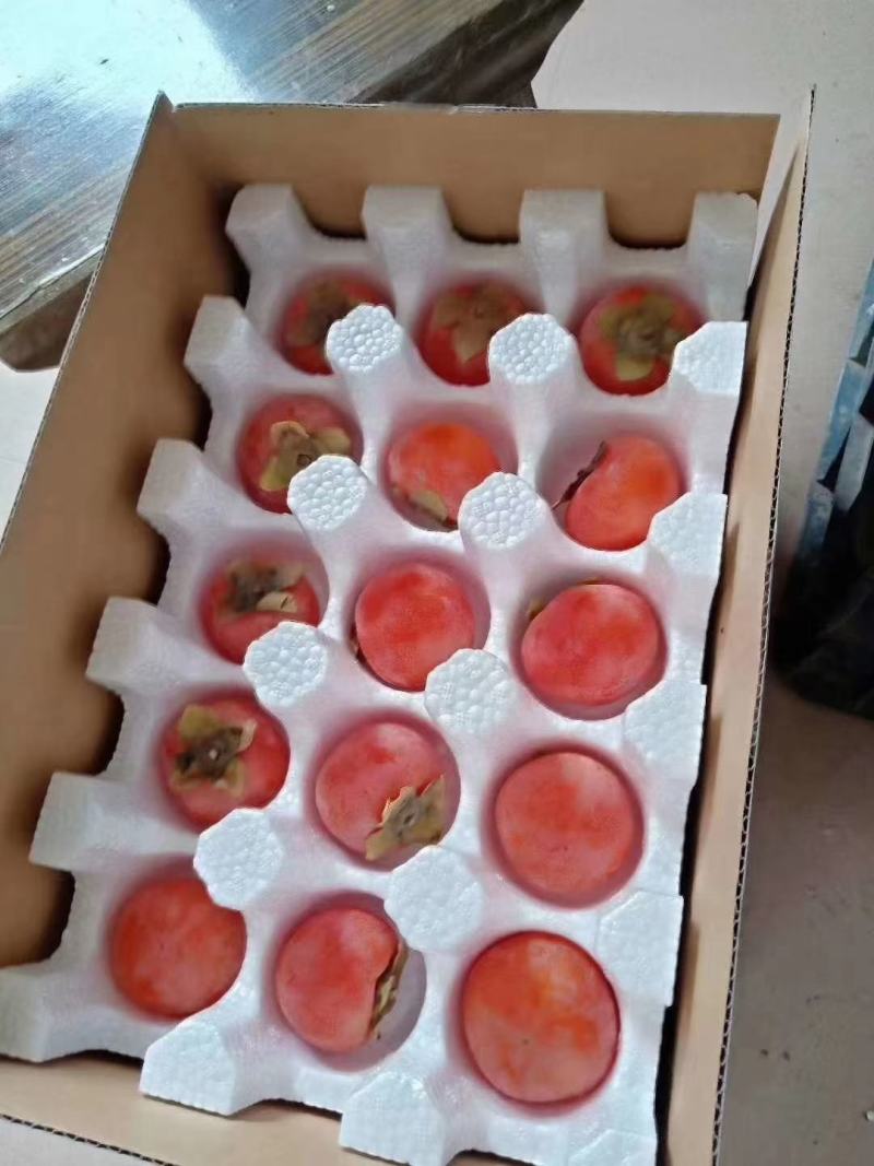 临潼火晶柿子