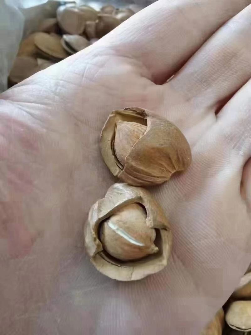 炒核桃巴旦木腰夏威夷果各类坚果跑江湖地摊展批发一手货源