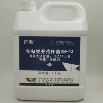 科诺阵地多粘类芽孢杆菌番茄姜青枯病西瓜枯萎病杀菌剂
