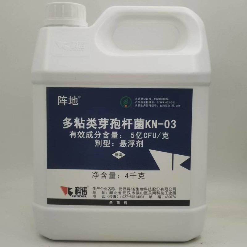 科诺阵地多粘类芽孢杆菌番茄姜青枯病西瓜枯萎病杀菌剂
