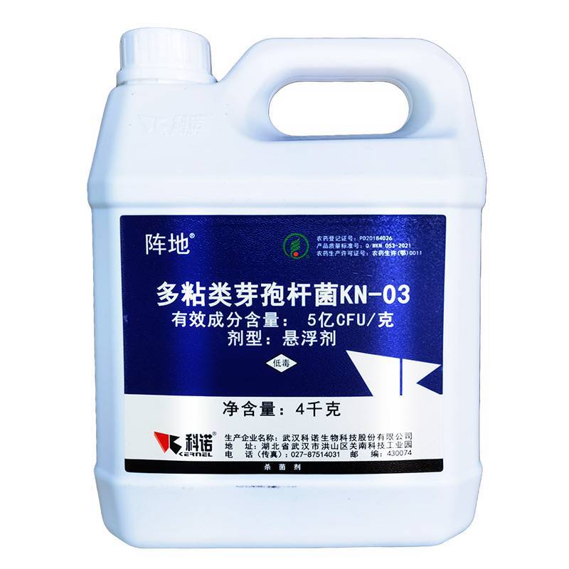 科诺阵地多粘类芽孢杆菌番茄姜青枯病西瓜枯萎病杀菌剂