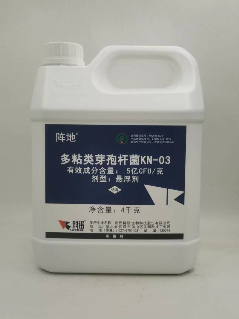科诺阵地多粘类芽孢杆菌番茄姜青枯病西瓜枯萎病杀菌剂