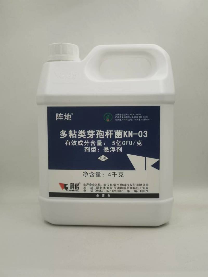 科诺阵地多粘类芽孢杆菌番茄姜青枯病西瓜枯萎病杀菌剂
