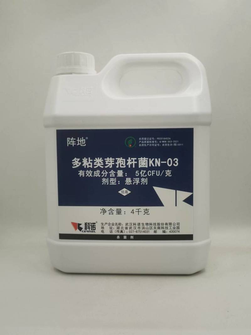 科诺阵地多粘类芽孢杆菌番茄姜青枯病西瓜枯萎病杀菌剂