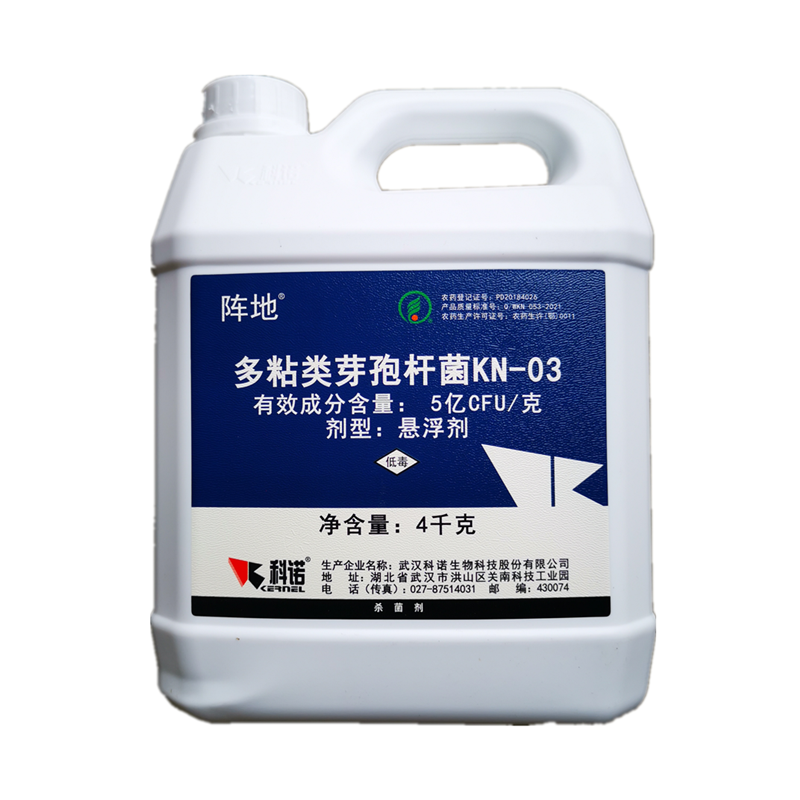 科诺阵地多粘类芽孢杆菌番茄姜青枯病西瓜枯萎病杀菌剂