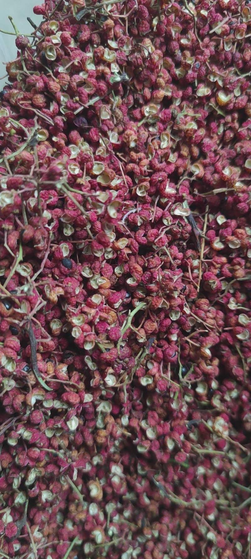 大红袍花椒毛椒籽粒不超百分之三颗粒大味道麻
