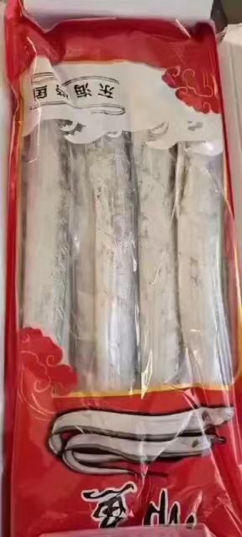 舟山帶魚大量批發
