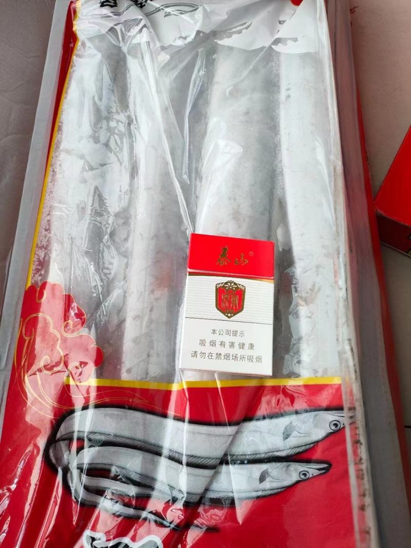 舟山帶魚大量批發