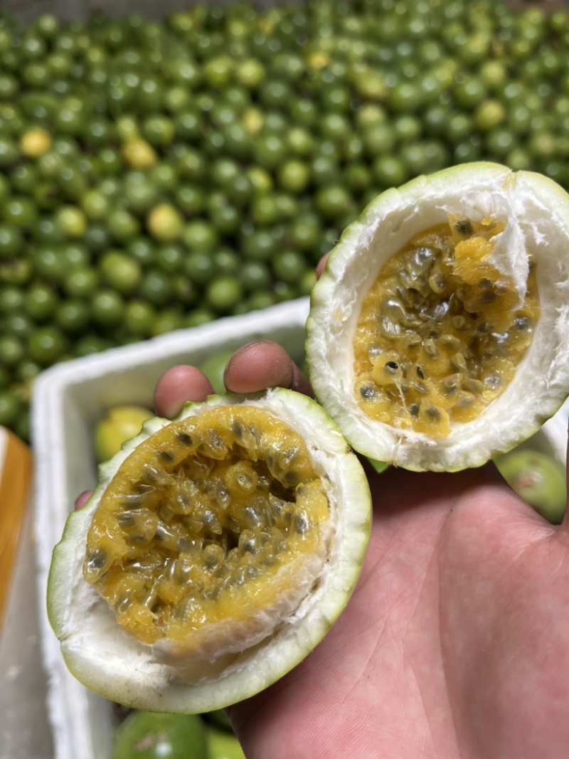 黄金百香果钦蜜9号量大质优货源产地直发