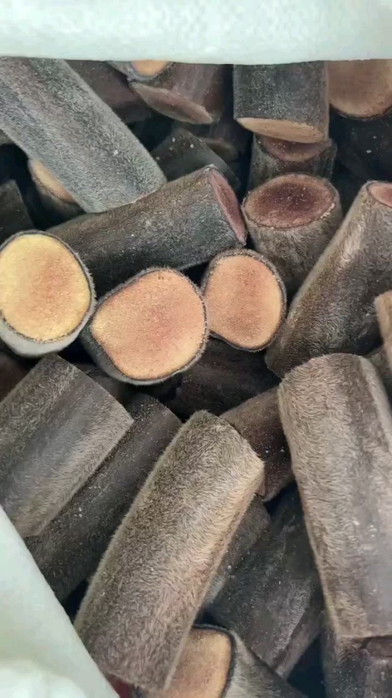 吉林双阳鹿场干鹿茸可以打粉冲水量大从优欢迎选购