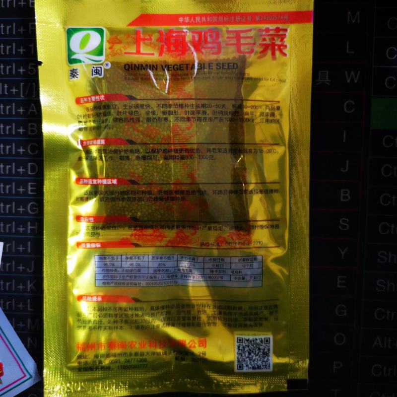 上海鸡毛菜种子小油菜种子农家庭院阳台种植蔬菜种子