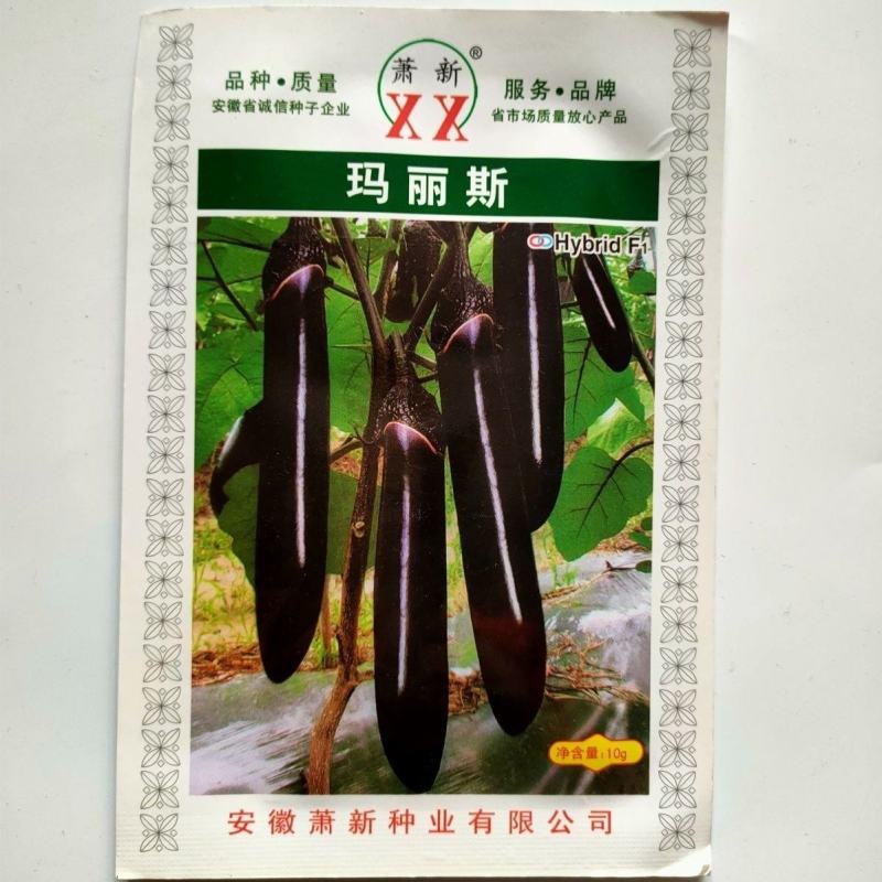 茄子种子紫黑长茄子种子绿把长茄果实长棒形紫黑色且光亮茄子