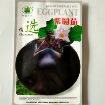 茄子种子紫黑圆茄长白茄种籽耐寒耐热紫黑发亮播春秋茄子种子