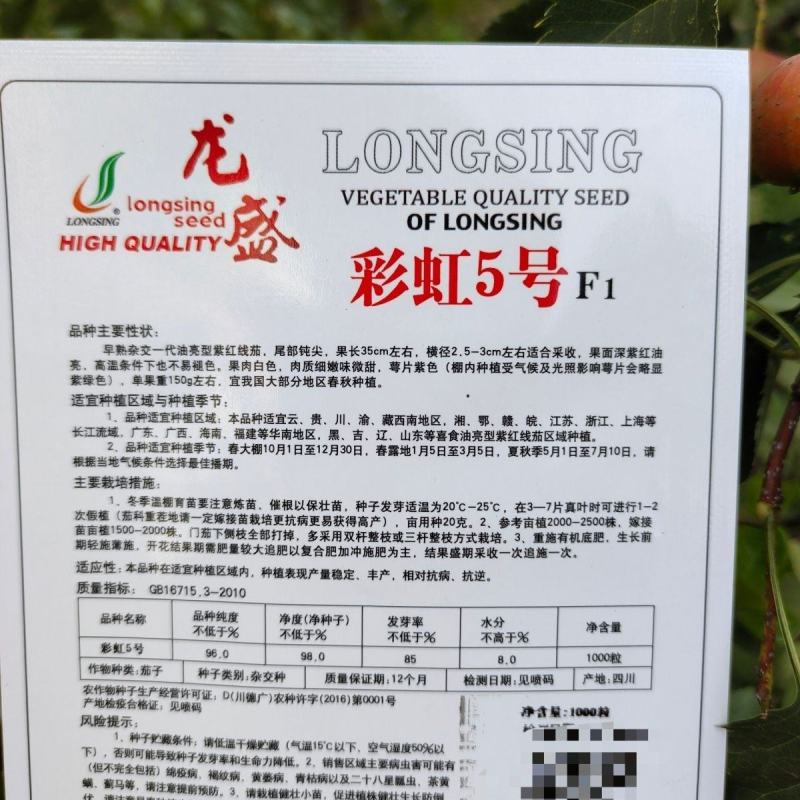 紫红线茄种子龙盛彩虹5号长茄种籽线茄四季蔬菜春季秋冬茄子