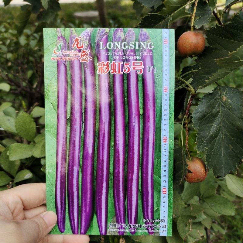 紫红线茄种子龙盛彩虹5号长茄种籽线茄四季蔬菜春季秋冬茄子