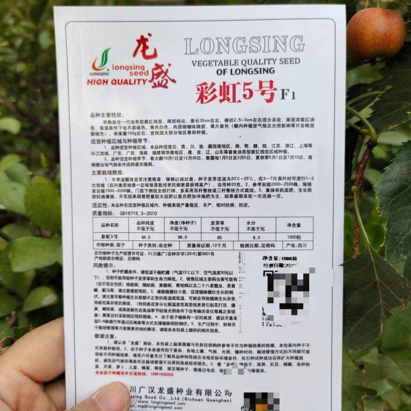 紫红线茄种子龙盛彩虹5号长茄种籽线茄四季蔬菜春季秋冬茄子