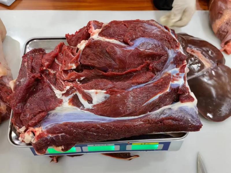 梅花鹿鲜鹿肉活鹿现杀温性低脂，吉林双阳鹿场量大从优！
