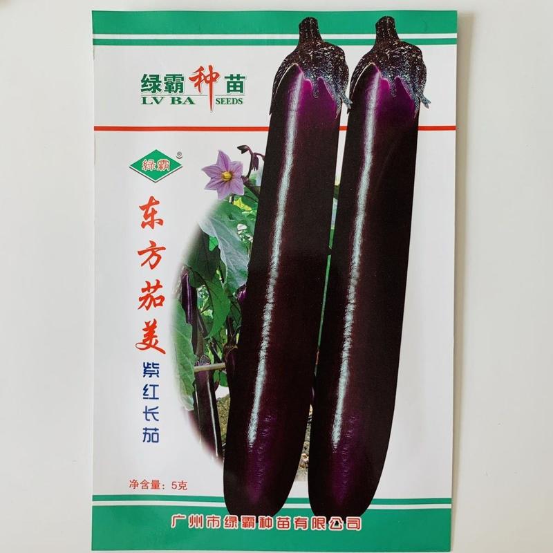 紫红长茄种籽东方茄美紫茄种子抗病春秋季四季高产茄子种子