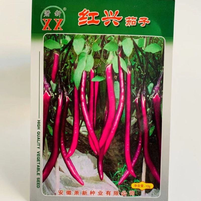 萧新红兴茄子种子红线茄种子果皮紫红色有光泽早熟耐热耐湿