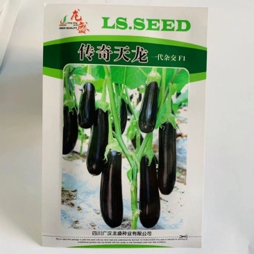 【传奇天龙】一代杂交茄子种籽油黑亮丽绿萼早熟高产抗病长茄
