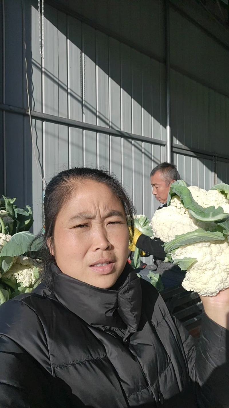 有机菜花，白面青梗，小米粒。