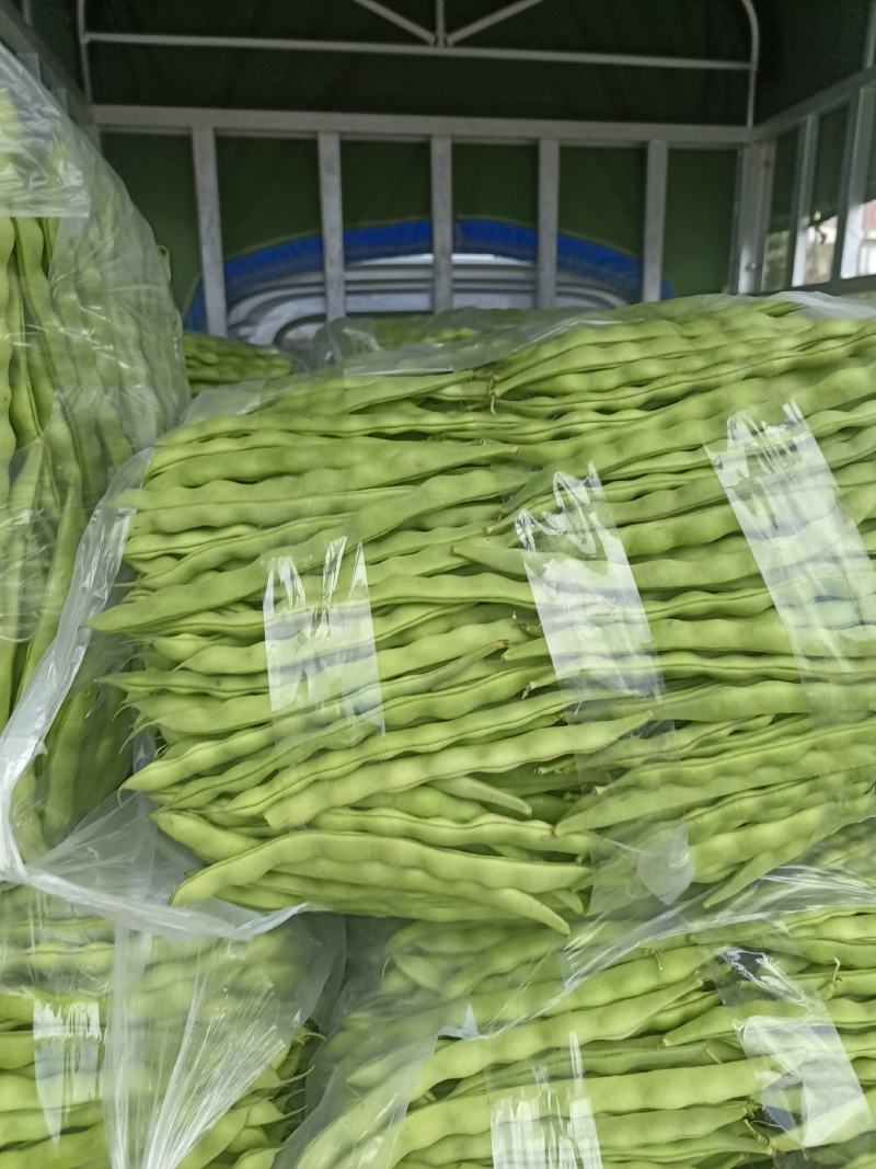 精品大青豆