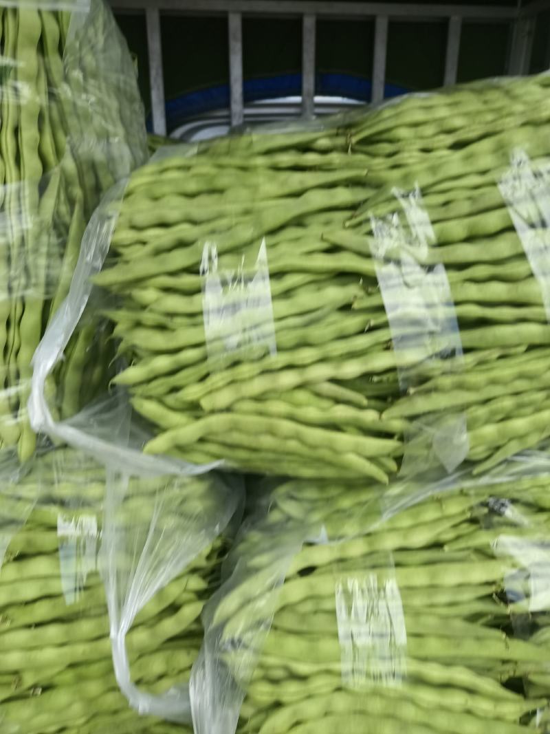 精品大青豆