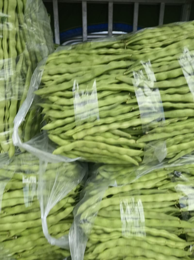 精品大青豆