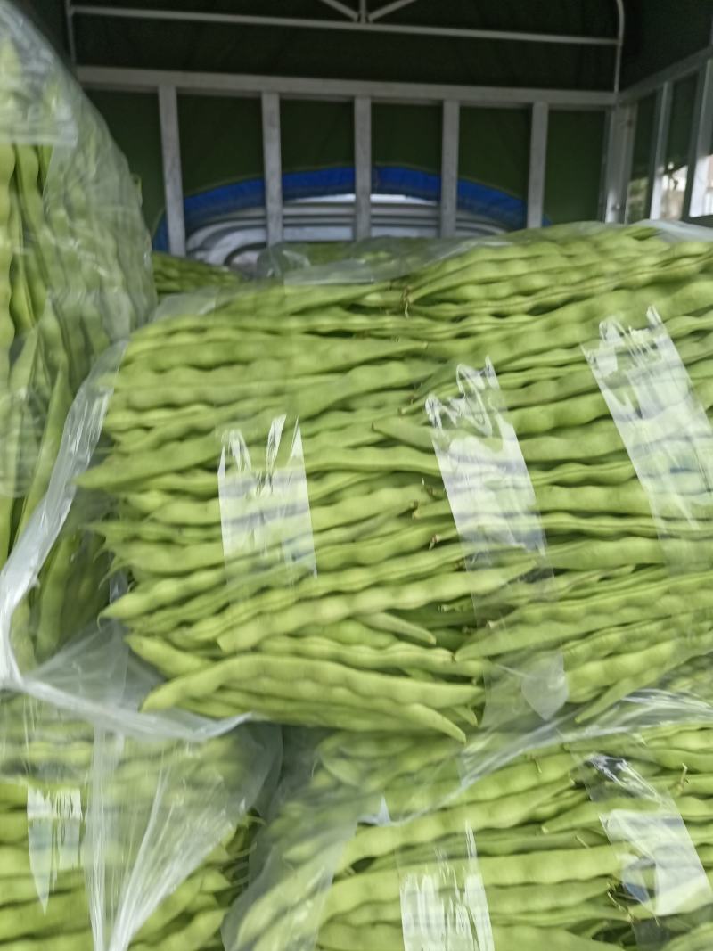精品大青豆