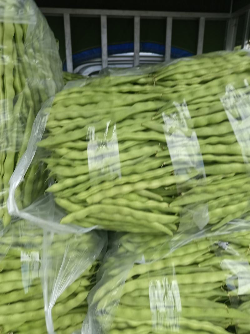 精品大青豆