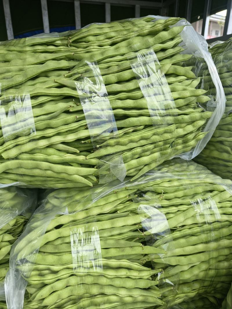 精品大青豆