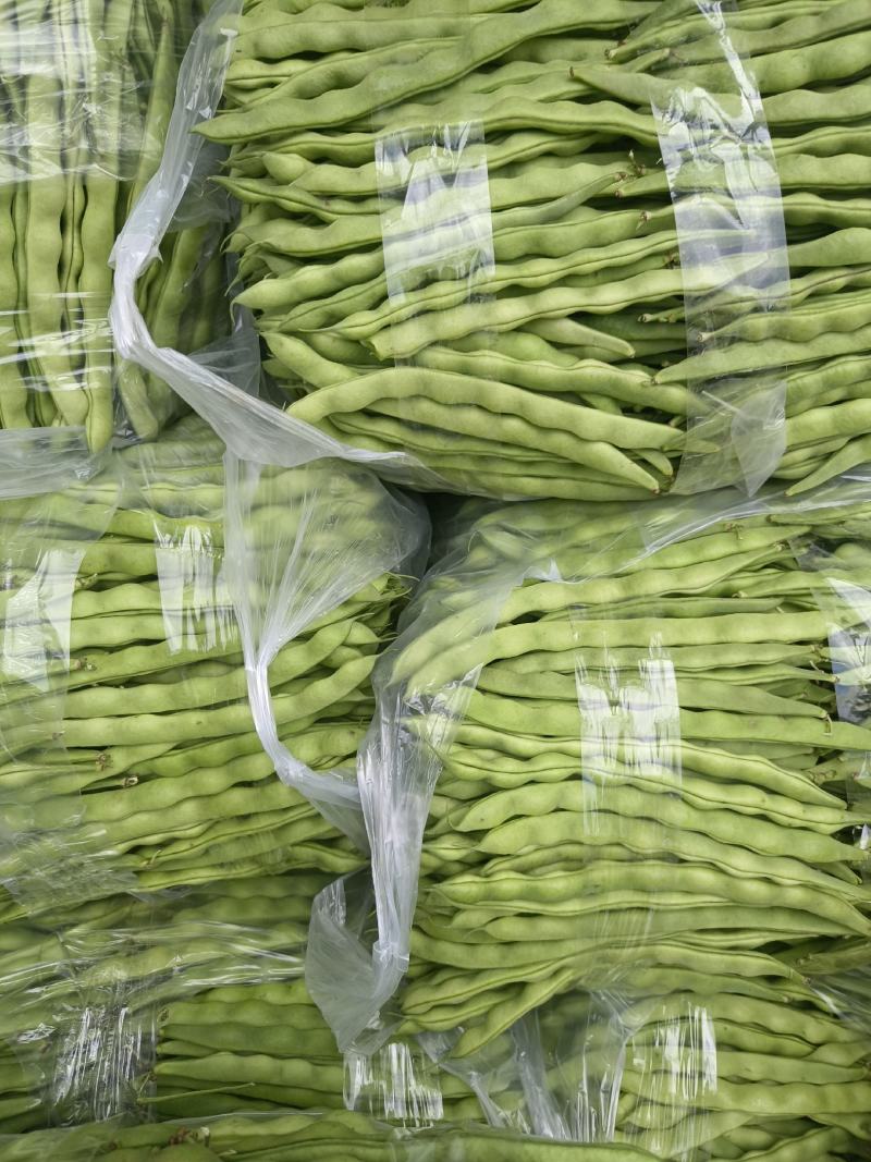 精品大青豆