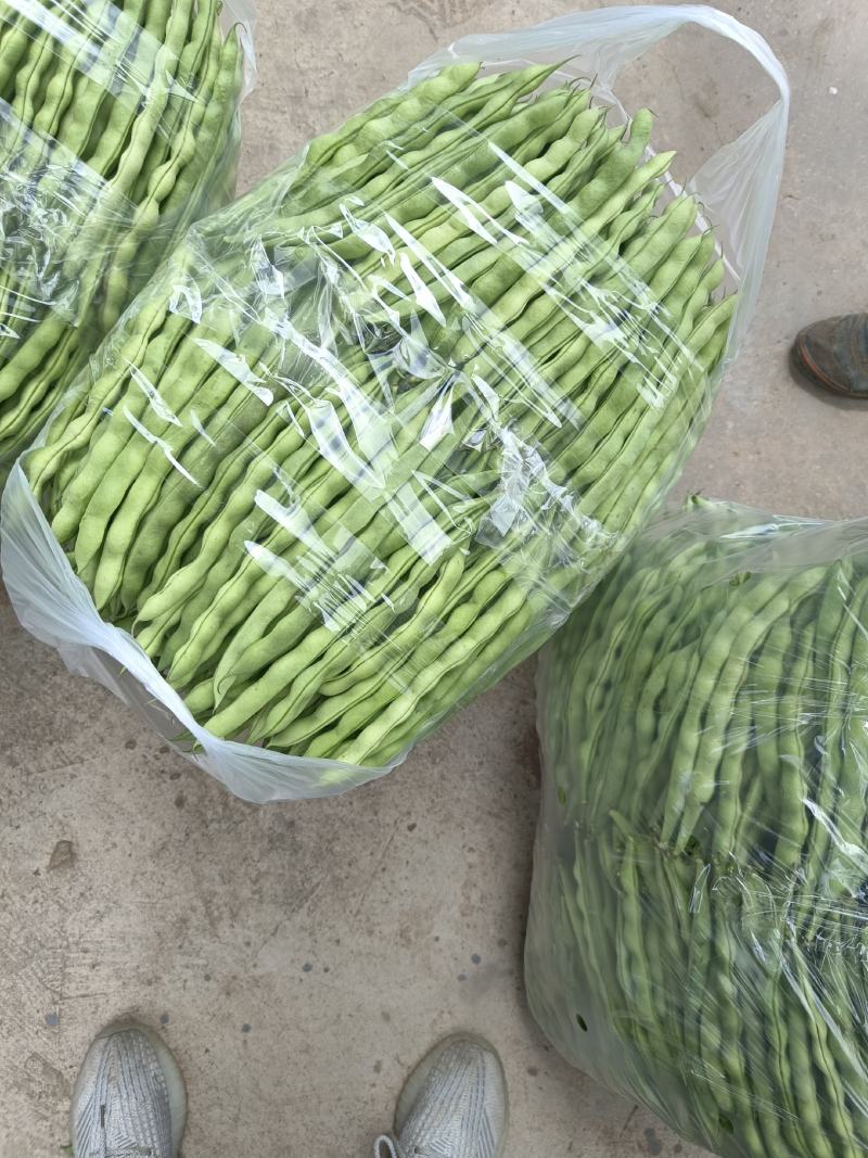 精品大青豆