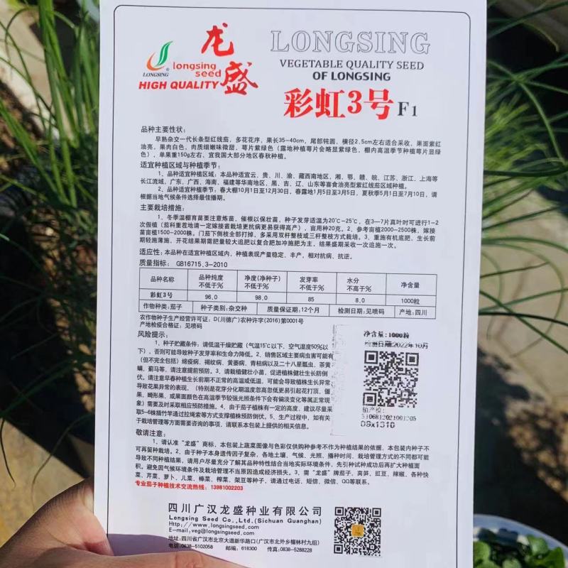 龙盛彩虹3号紫红长茄种子四季种植高产抗病好紫红长茄种子