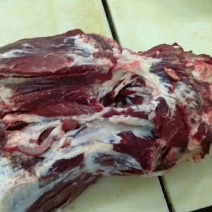 新鲜屠宰鲁西黄牛腿肉
