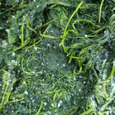 腌制的英菜，雪里红，大黄瓜，苏子叶