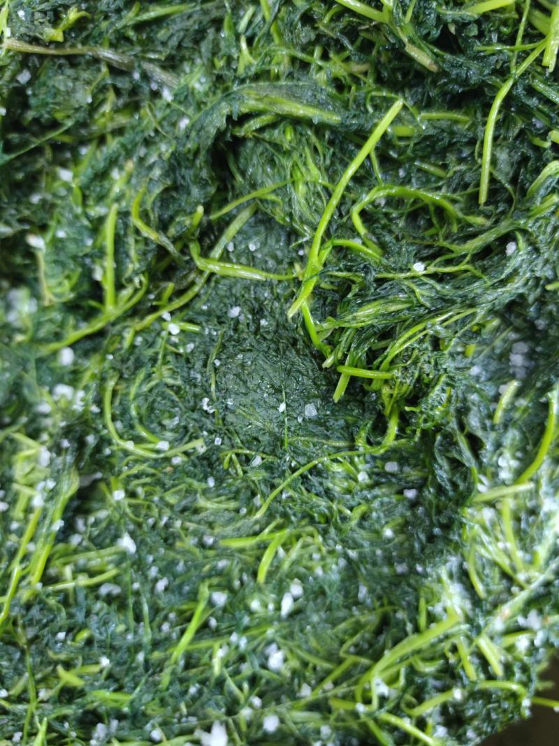 腌制的英菜，雪里红，大黄瓜，苏子叶