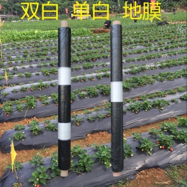 黑白地膜，黑白相间地膜农用膜厂家供货价格实惠