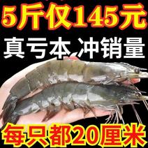 大虾鲜活新鲜速冻海鲜水产青岛海捕白虾对虾5斤一件daif
