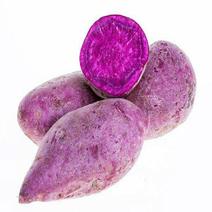紫薯