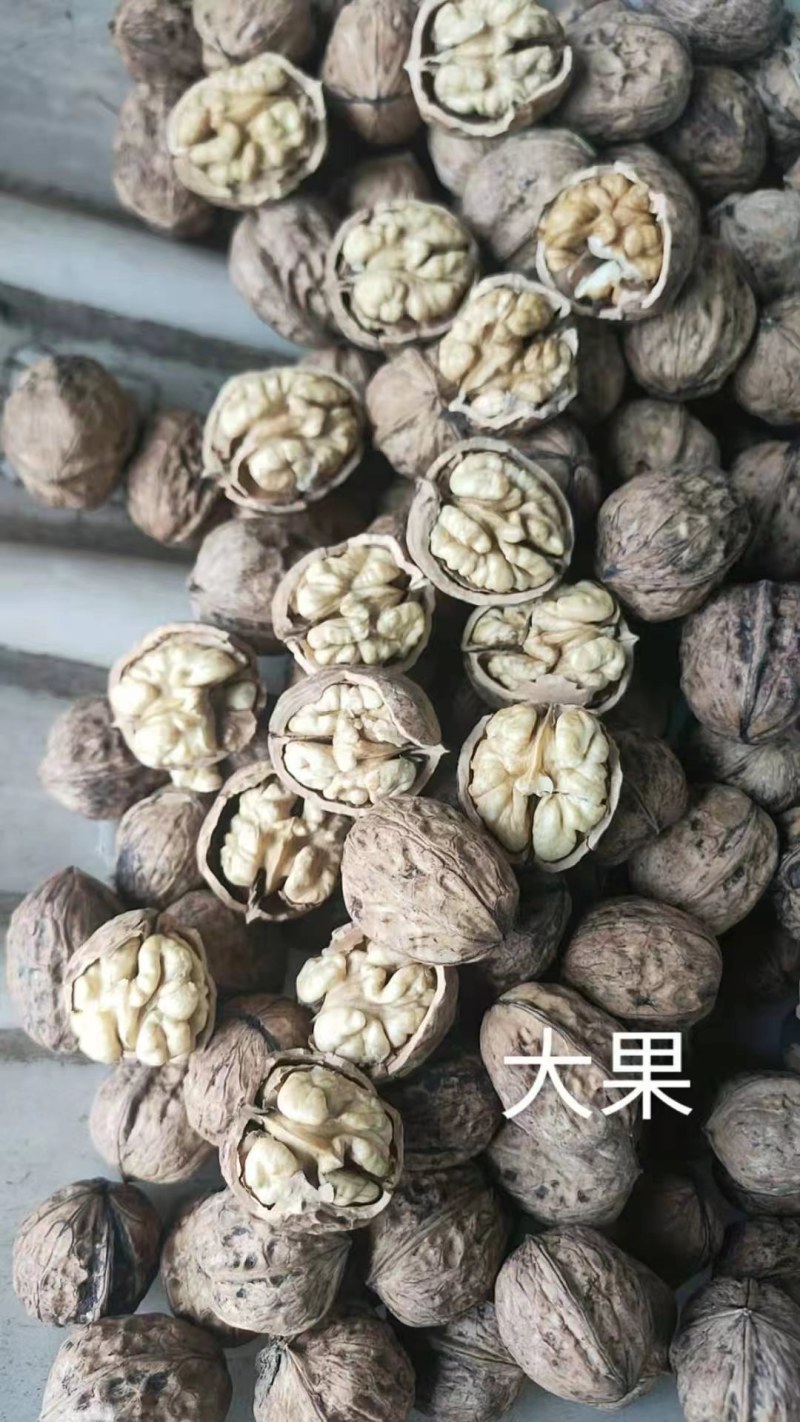 热销大优干核桃，果仁饱满，产地直发，货好量大，